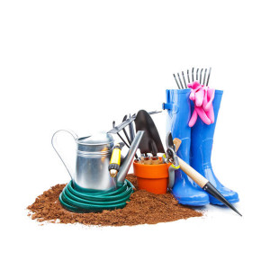 Grădinărit - MarketHome