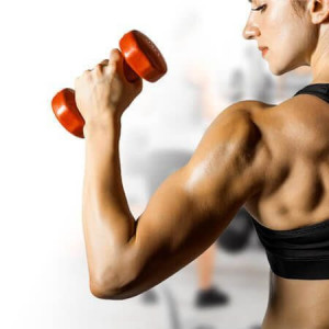 Sport | Recreere - MarketHome