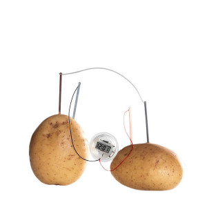 Cadouri Neobișnuite și Distractive - MarketHome