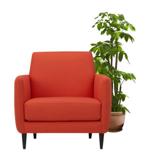 Cadouri pentru Casă - MarketHome